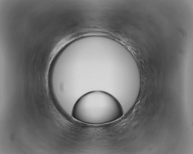X0000111360296200907101002