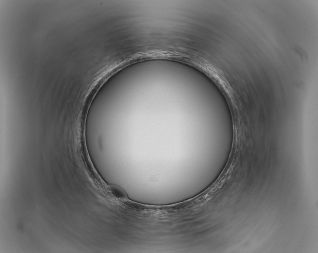 X0000111360297200907101002