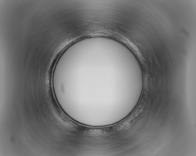 X0000111360298200907101002