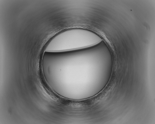 X0000111360299200907101002