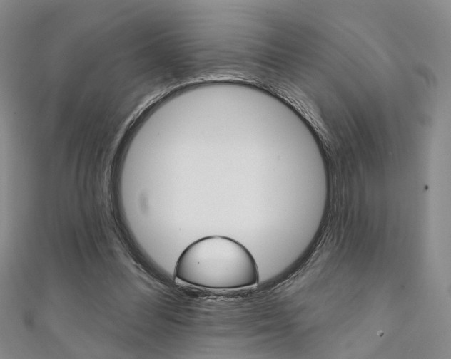X0000111360300200907101002