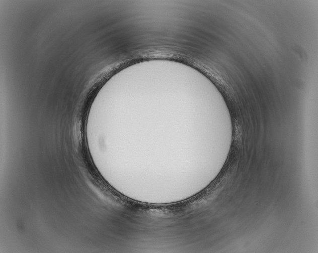 X0000111360302200907101002