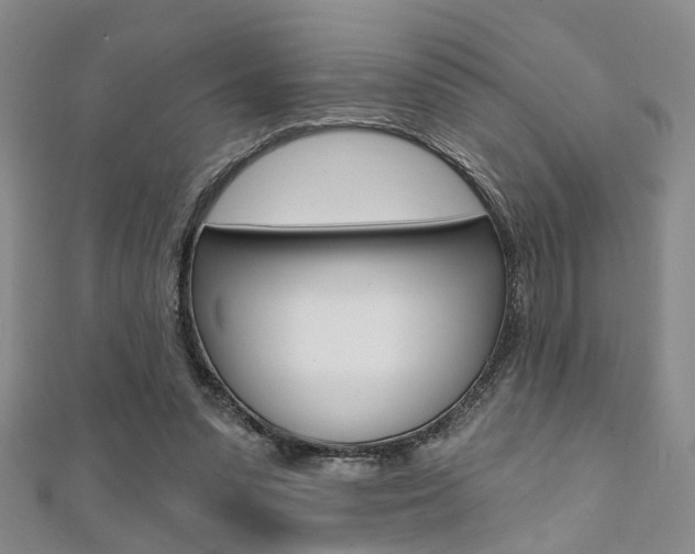 X0000111360303200907101002