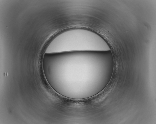 X0000111360304200907101002