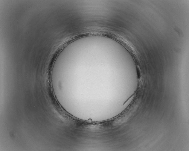 X0000111360306200907101002