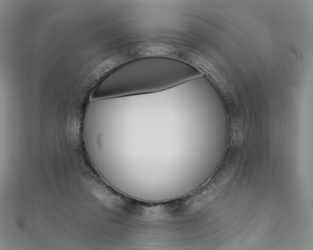 X0000111360309200907101002