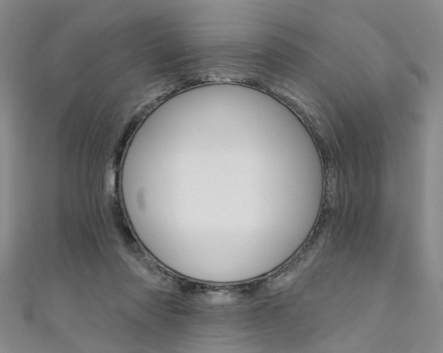 X0000111360310200907101002