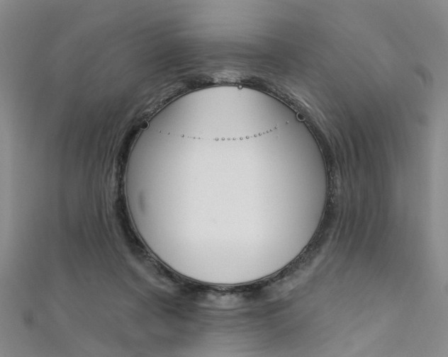 X0000111360311200907101002
