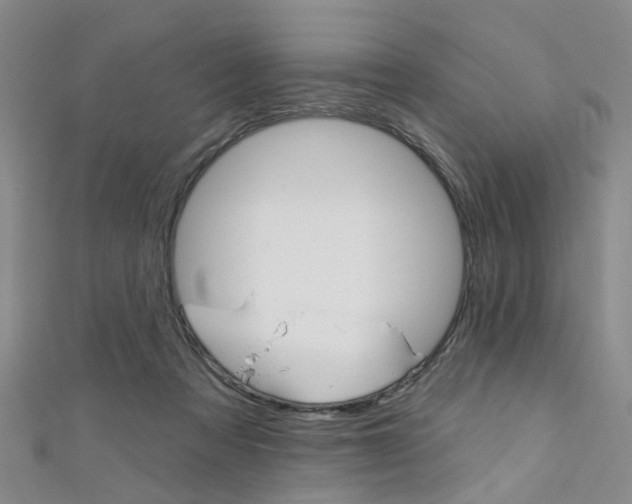 X0000111360313200907101002