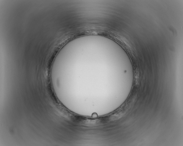X0000111360314200907101002