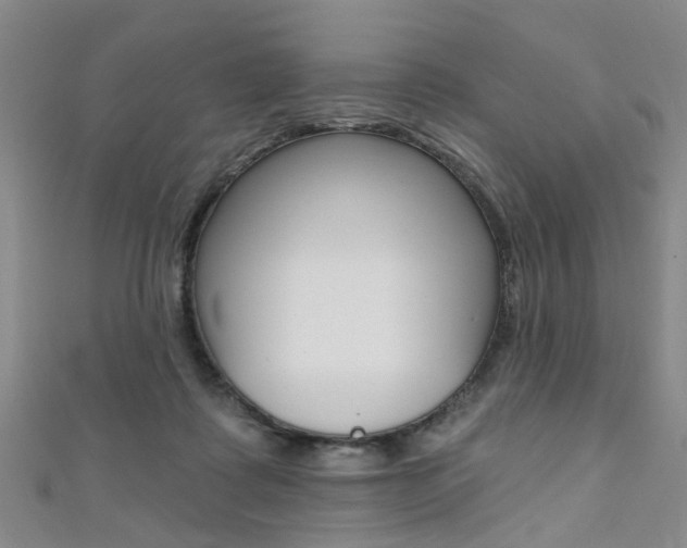 X0000111360315200907101002
