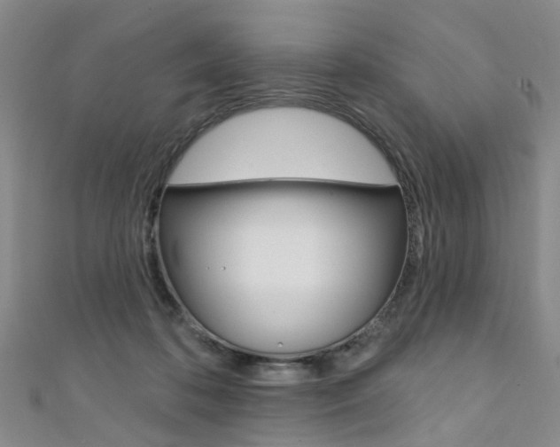 X0000111360316200907101002