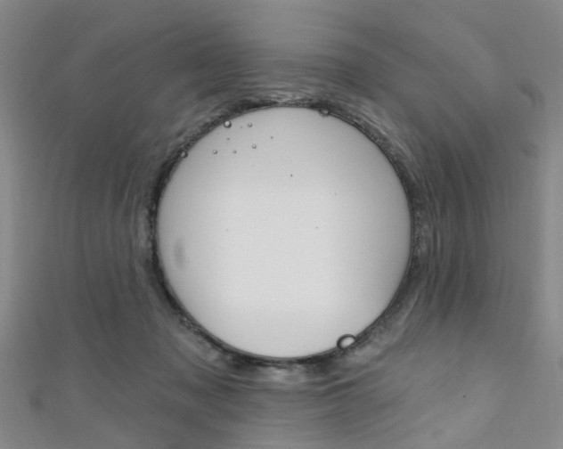 X0000111360317200907101002