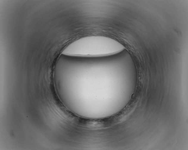X0000111360319200907101002