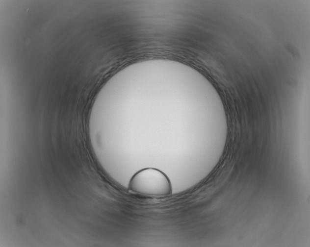 X0000111360320200907101002