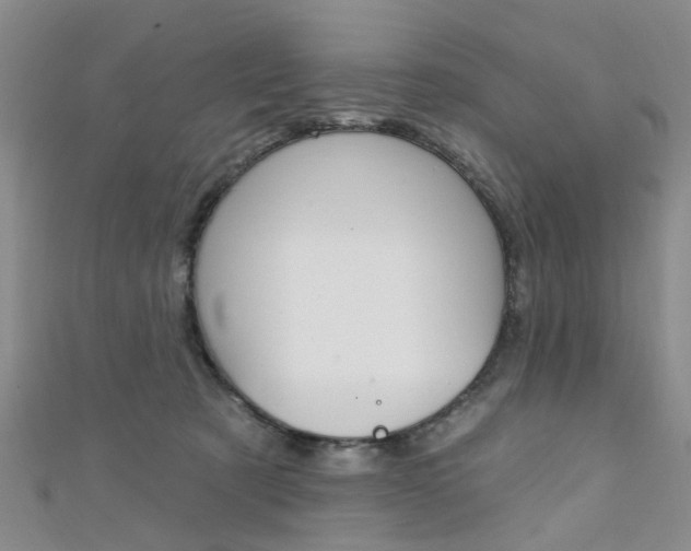 X0000111360321200907101002
