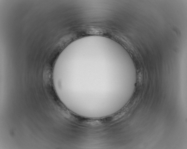 X0000111360322200907101002
