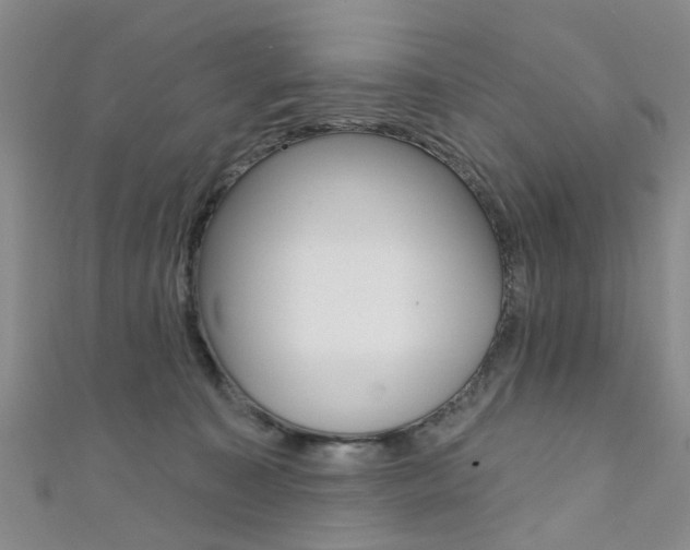 X0000111360323200907101002