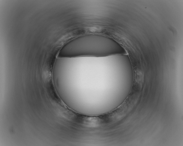 X0000111360324200907101002