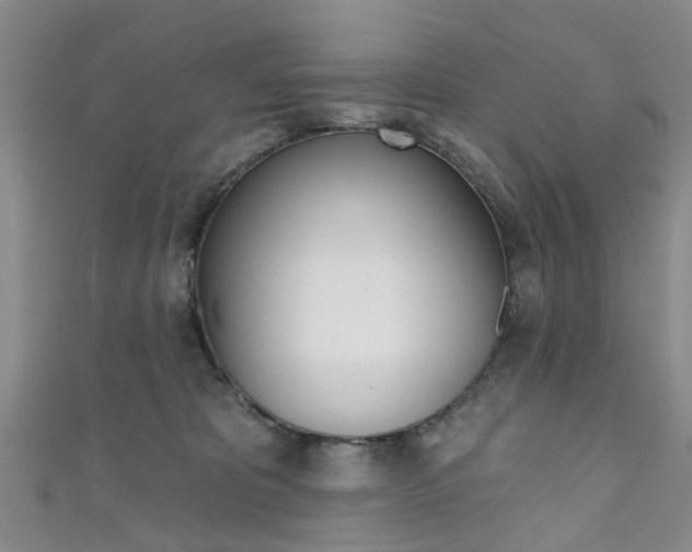X0000111360325200907101002