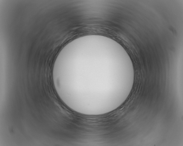 X0000111360327200907101002