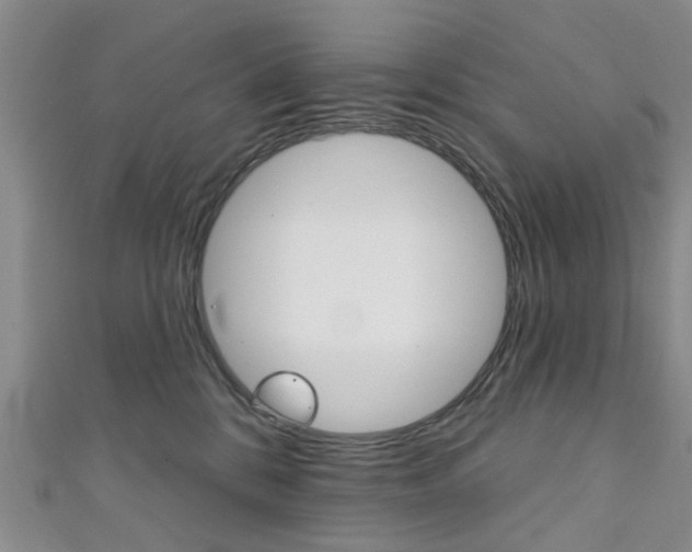 X0000111360328200907101002