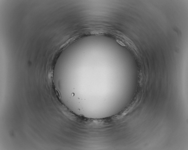 X0000111360329200907101002