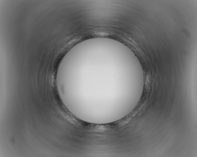 X0000111360330200907101002