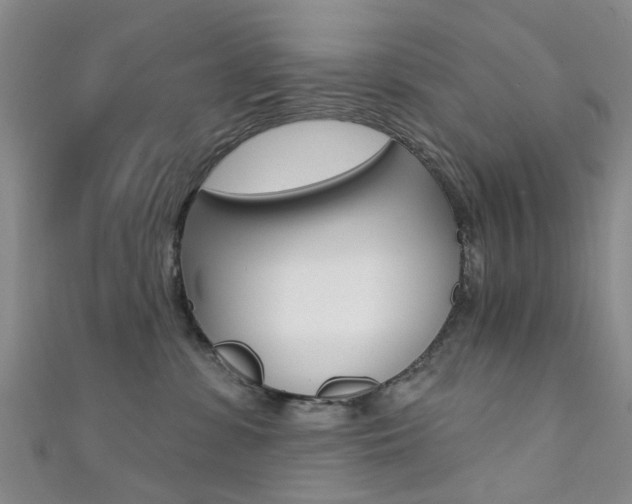 X0000111360331200907101002