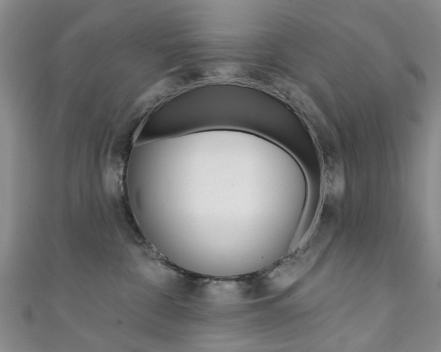 X0000111360332200907101002