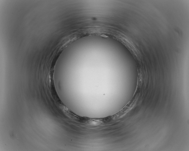 X0000111360333200907101002