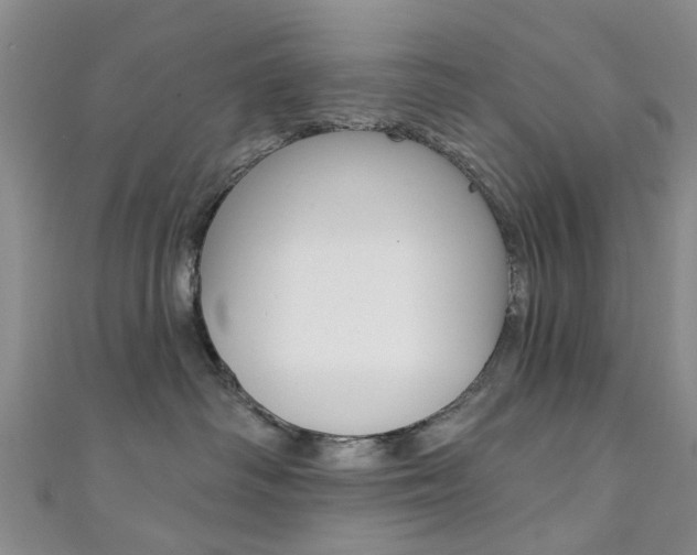 X0000111360334200907101002