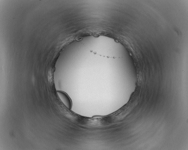 X0000111360335200907101002