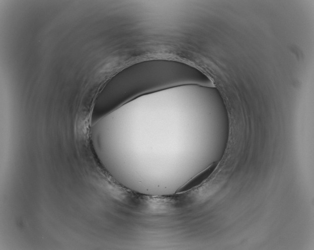 X0000111360336200907101002