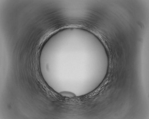 X0000111360337200907101001