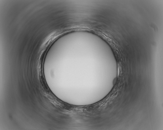 X0000111360339200907101001