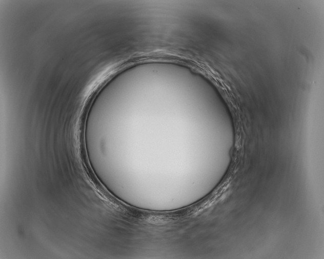 X0000111360341200907101001