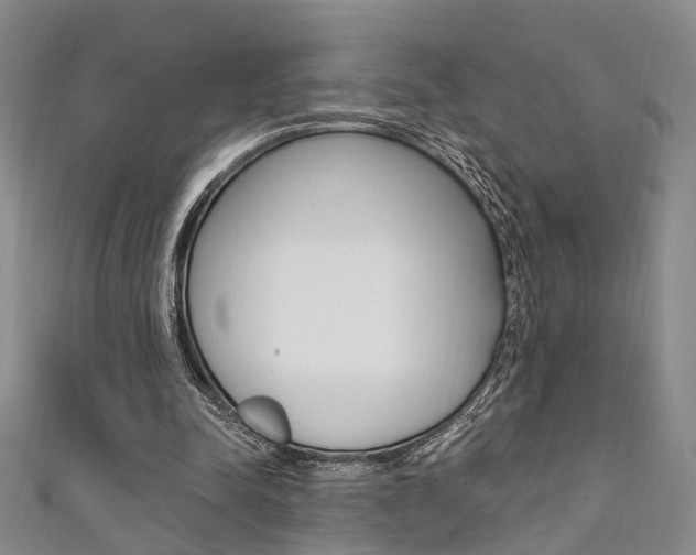 X0000111360342200907101001