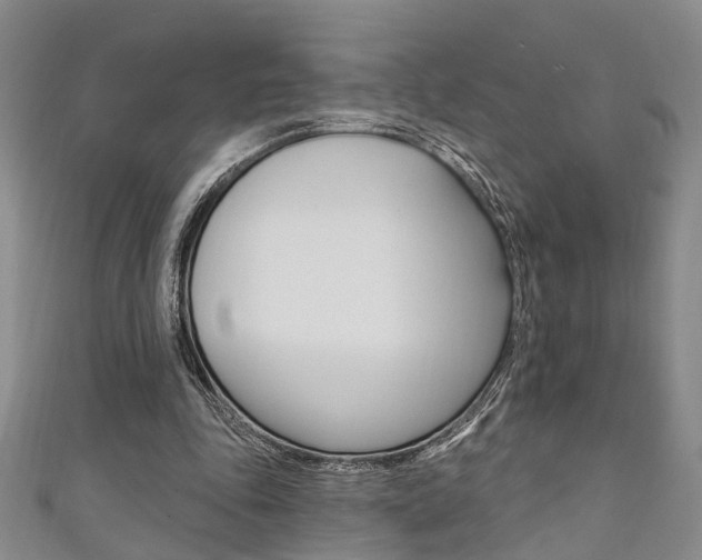 X0000111360343200907101001