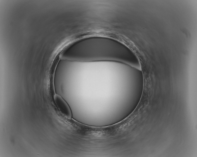 X0000111360344200907101001