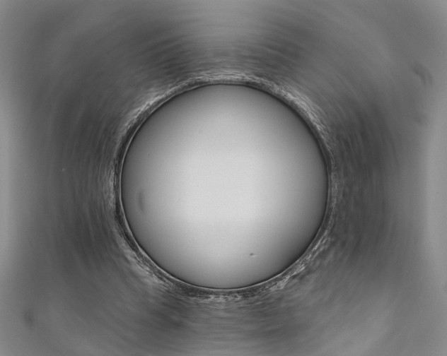 X0000111360345200907101001