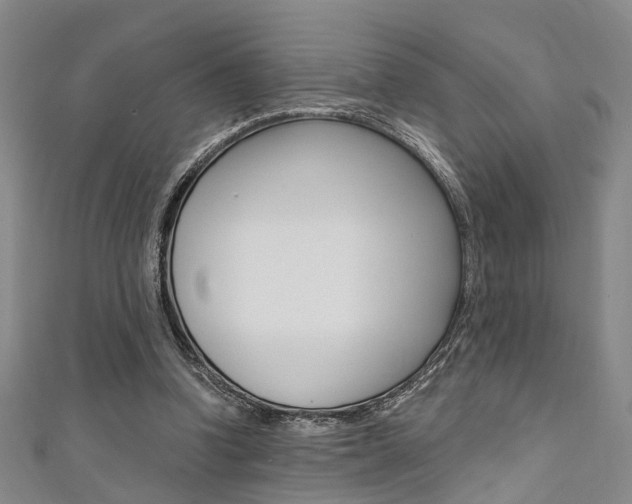 X0000111360346200907101001