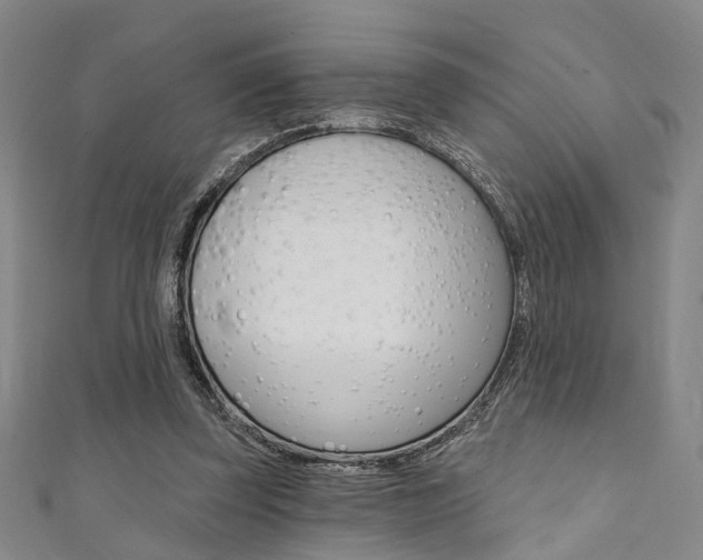 X0000111360347200907101001