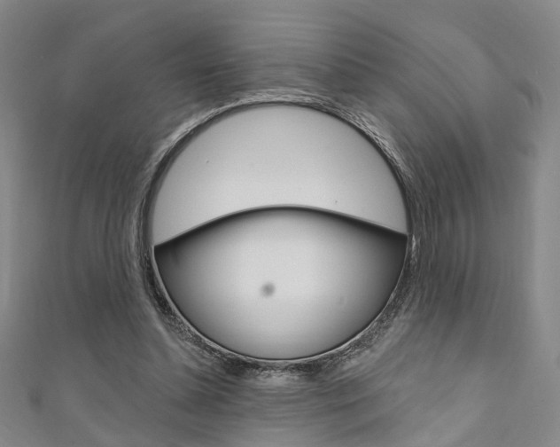 X0000111360348200907101001