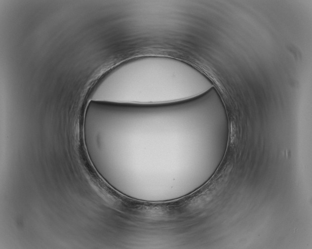 X0000111360349200907101001