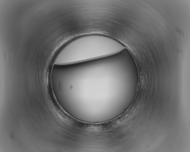 X0000111360350200907101001