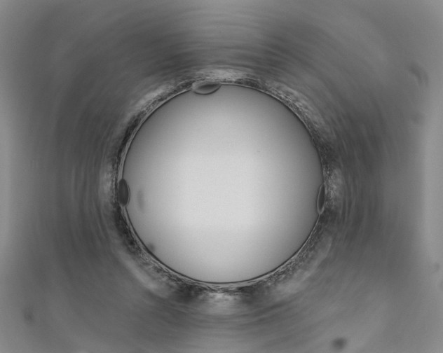 X0000111360352200907101001