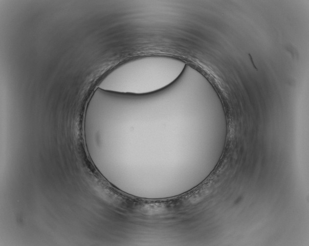 X0000111360353200907101001