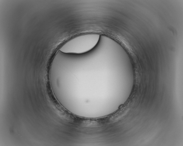 X0000111360354200907101001