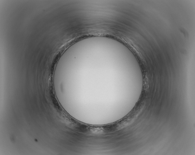 X0000111360355200907101001
